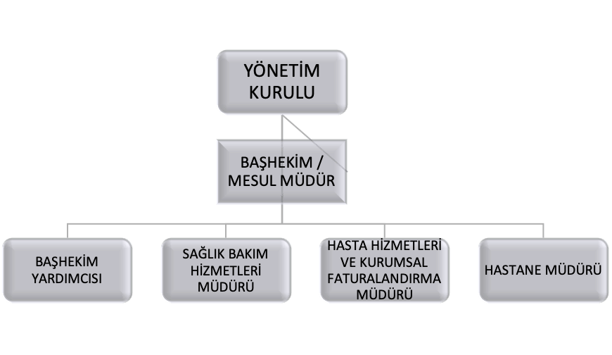 organizasyon şeması
